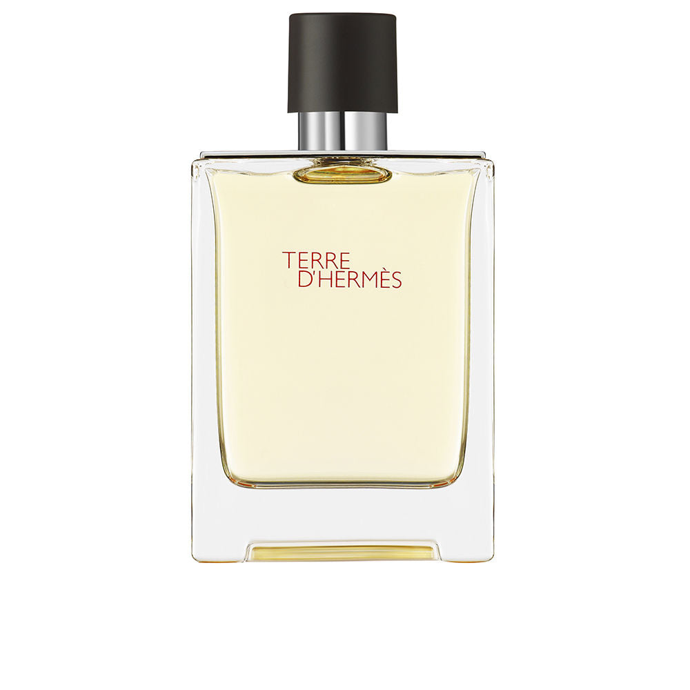 Hermès TERRE D HERMÈS eau de toilette spray 100 ml