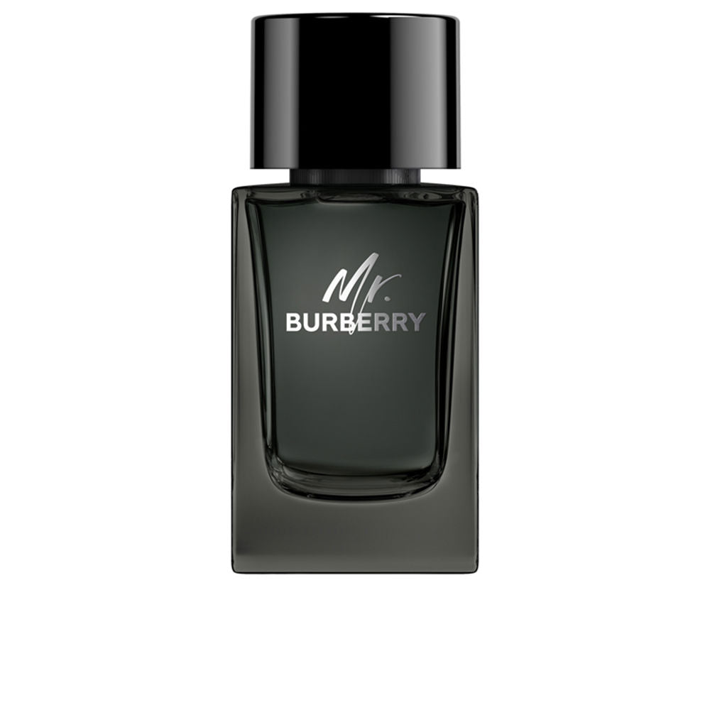 Burberry MR. BURBERRY eau de parfum vapor 100 ml