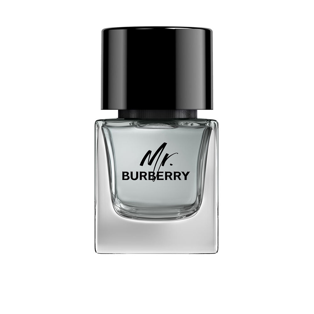Burberry MR BURBERRY edt vapor 50 ml