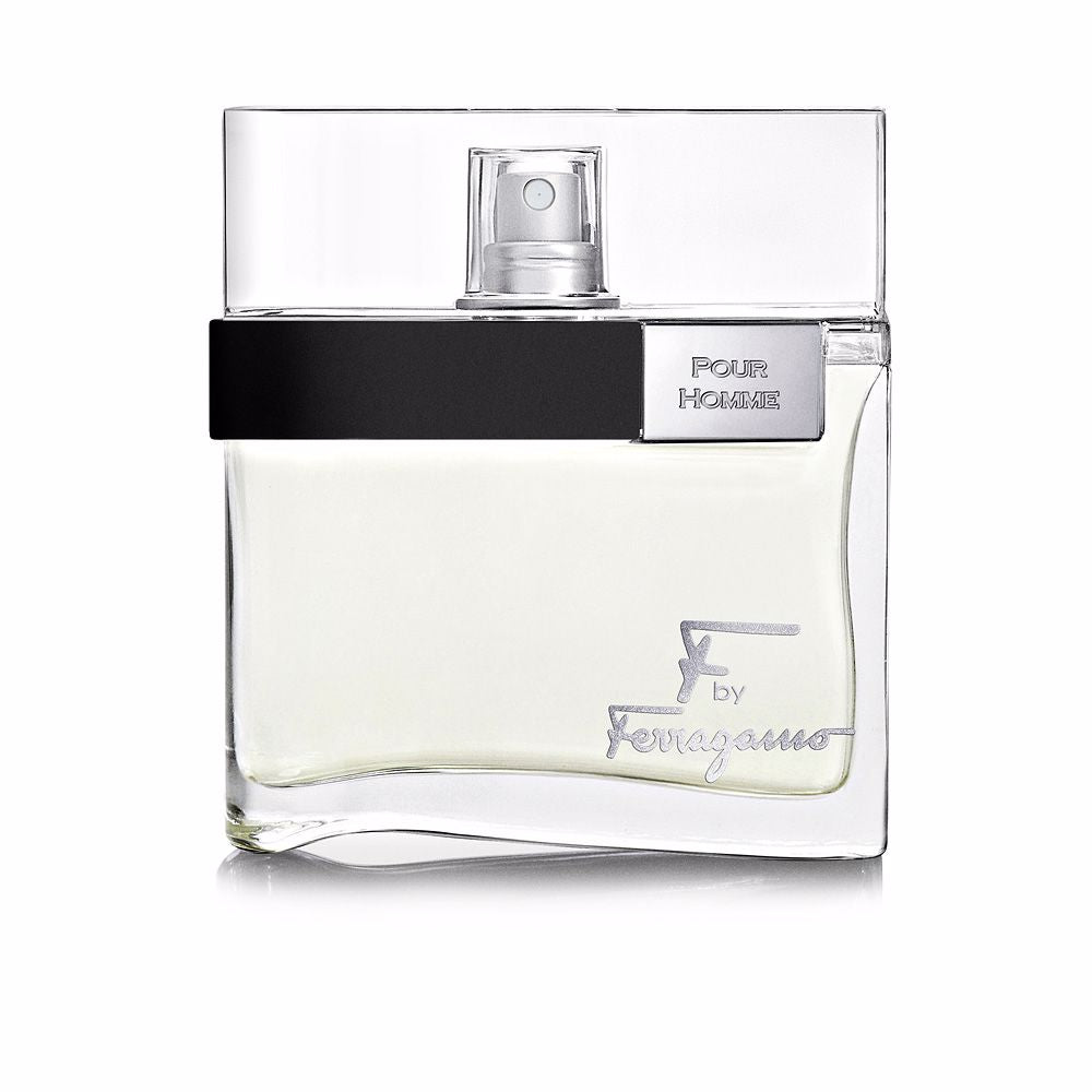 Salvatore Ferragamo F By Ferragamo Pour Homme 100 ml