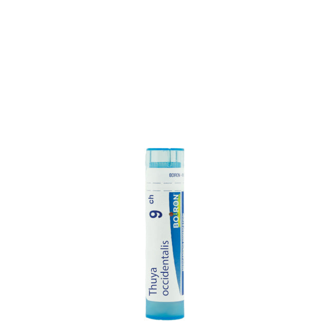 Boiron Thuya Occidentalis 9CH Grânulos x80
