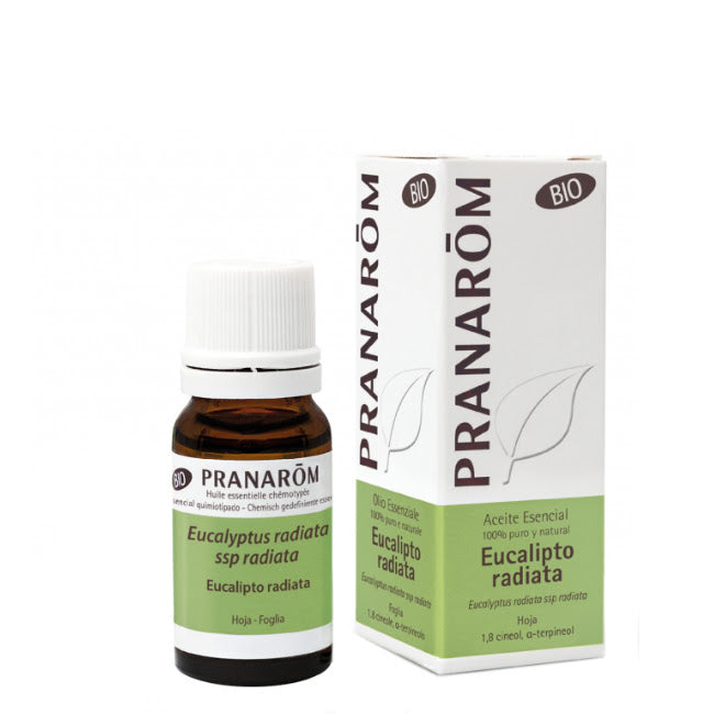 Pranarôm Eukalyptus Radiata Ätherisches Öl 10ml