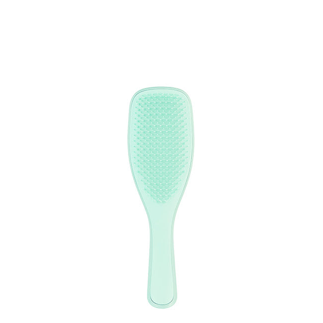 Tangle Teezer Wet Detangler Fine & Fragile Mint Escova de Cabelo 1un.